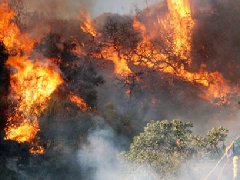 洛杉磯爆發(fā)史上最大山火，宣布進入緊急狀態(tài)