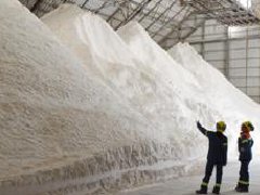 氧化鋁行情分析：延續(xù)放量上漲，賣方看漲市場