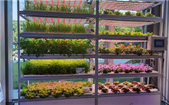 鋁型材有機蔬菜種植架